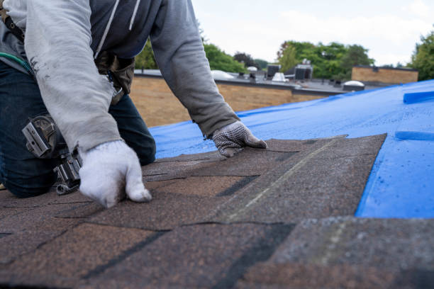 Professional Roofing Contractor in Leisure Knoll, NJ