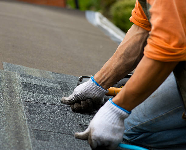 Best Roof Leak Repair  in Leisure Knoll, NJ